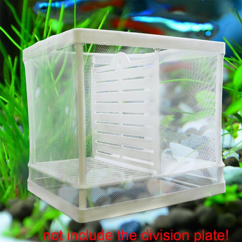 Broederij Aquarium Fokker Incubator Netto Breeding Fry Frame Isolatie Box Nuttig