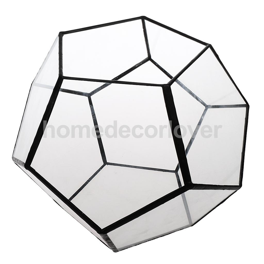 Irregular Glass Geometric Terrarium Box Tabletop Succulent Air Plant Fern Moss Pot Planter: 5