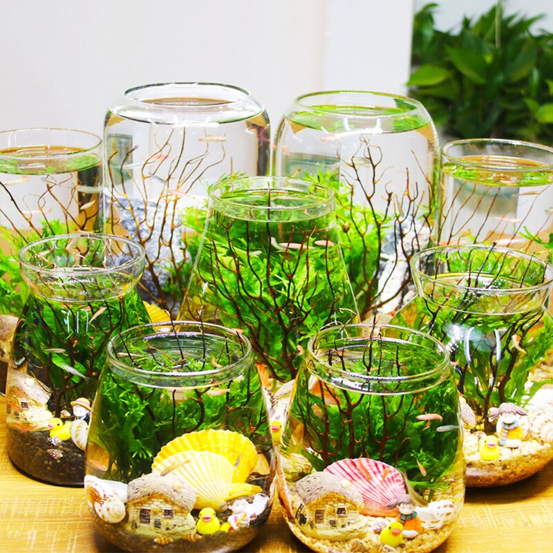 Mini Glass Fish Tank Betta Fish Tank Aquarium Fish Tank Micro Landscape Ecological Bottle Empty Bottle DIY Aquarium Accessories