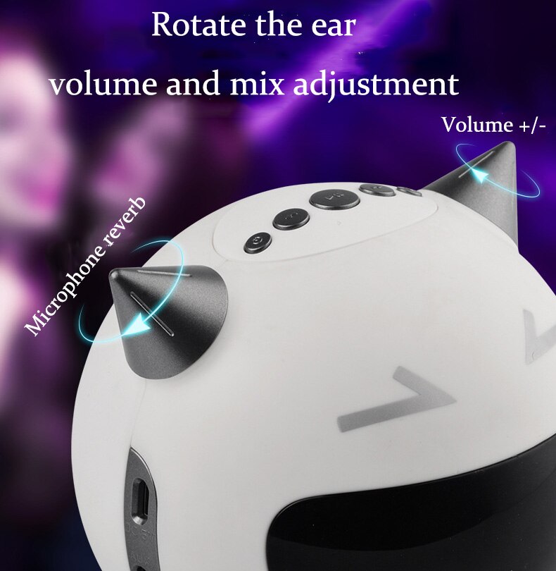 Portable Mini Bluetooth Speaker with Microphone - 5W - 2200mAh Battery - FM Radio & MP3 Playback