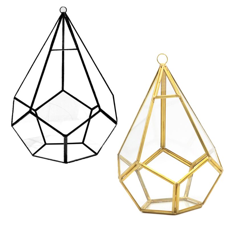 Hanging Glass Terrarium - Diamond Geometric Polyhedron - Wall Mounted Air Plant Holder