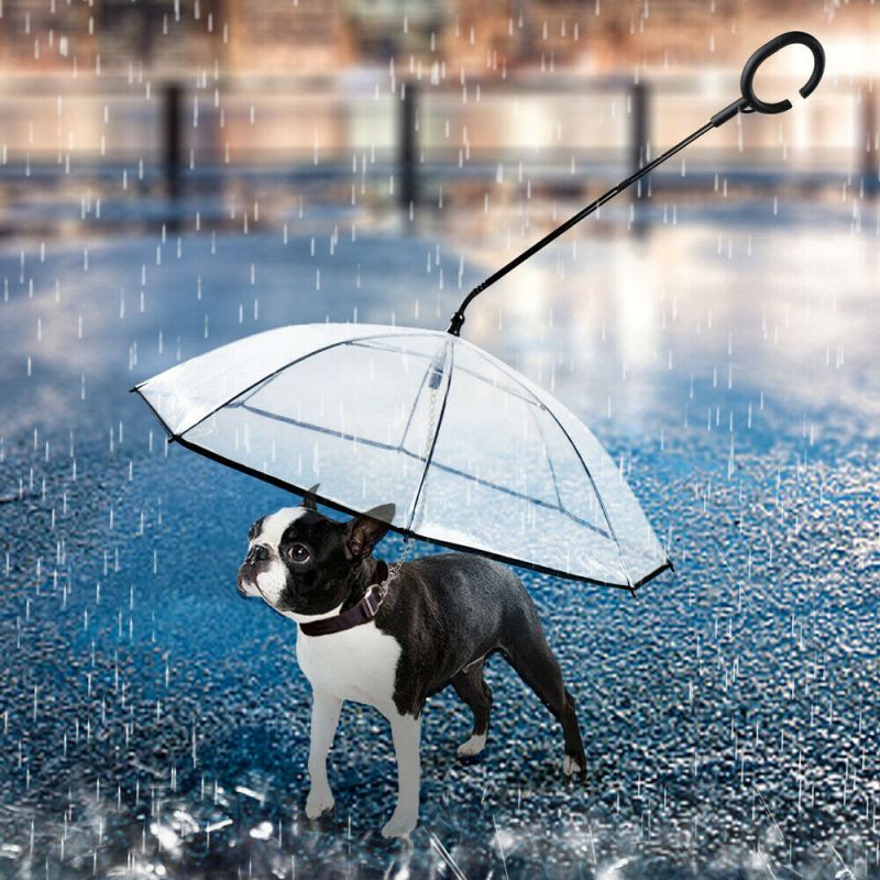 Paraguas para mascotas transparente tipo C para perros suministros para mascotas cuerda de tracción de hiena ajustable para el día de la lluvia