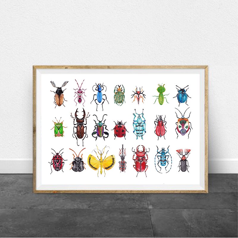 Kevers Collectie Illustratie Prints Natuur Wall Art Poster Thuis Room Decor Insect Art Retro Poster Kraftpapier: 42x30cm No Frame