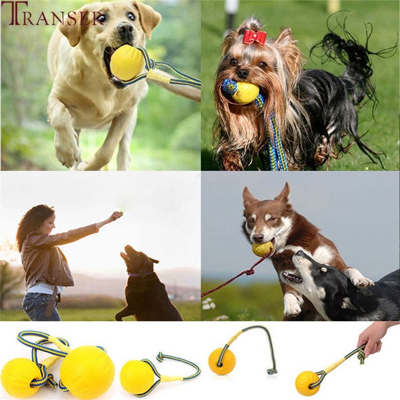 Transer Pet Supply Durable Dog Toy Outdoor Training Fetch Bite Chew Interactive Rope Ball Toy For Small Large Dog 80103