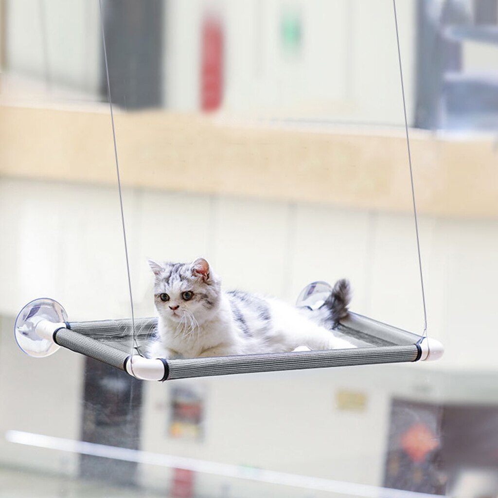 Perchoir de fenêtre pour chat, siège de fenêtre hamac pour chat, Durable, peu encombrant et sécurisé