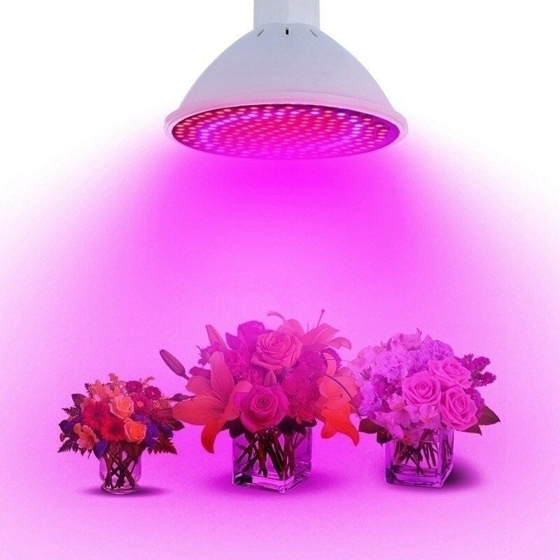 Volledige Spectrum E27 E14 GU10 MR16 80/60/48 Rode En Blauwe Led Hydrocultuur Bloem En Groente Groeilicht