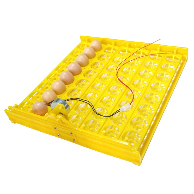 Incubadora automática de 56 huevos, 7*8 orificios, incubadora de pollos, patos y otras aves de corral, huevos, aves de corral, equipo de incubación