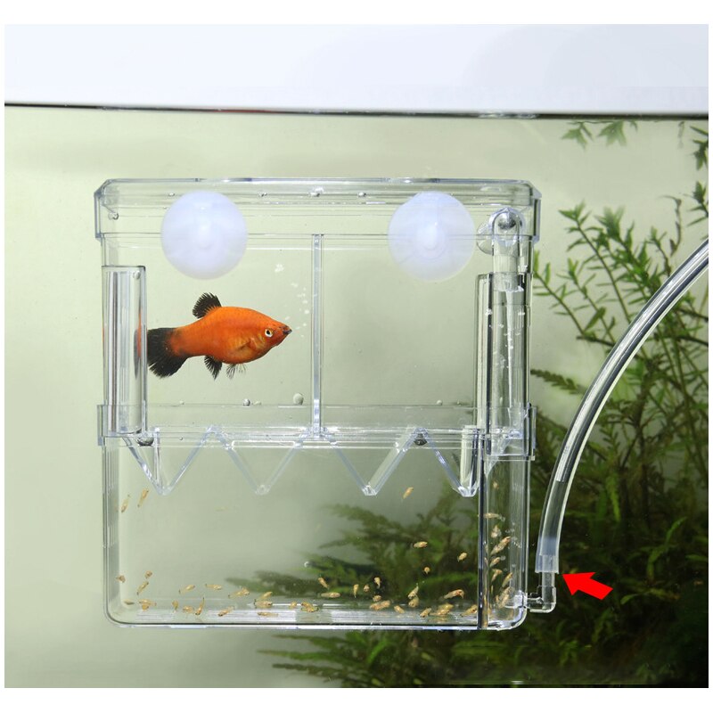 1 PCS Acrylic Fish Tank Breeding Isolation Box Aquarium Hatchery Incubator Holder Aquarium Accessories Fish Supplies