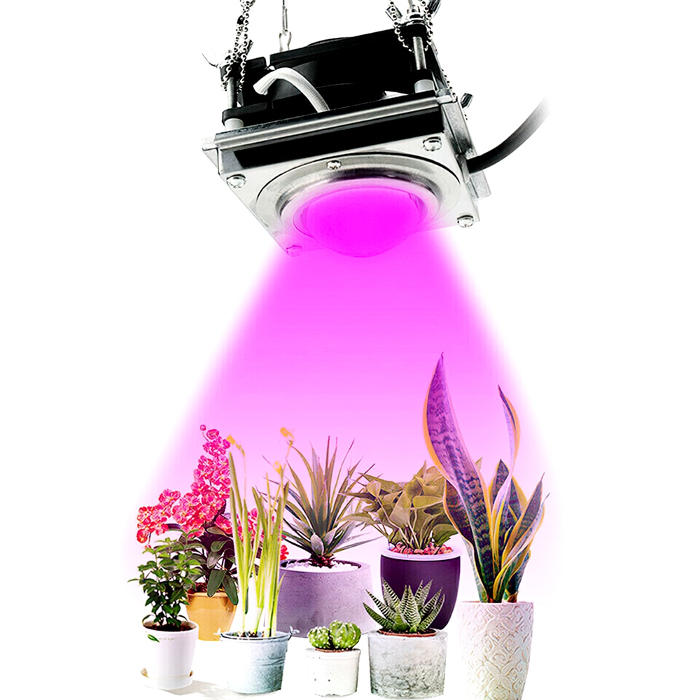 Full Spectrum Hydroponic COB Growth Light High Luminous Efficiency LED Grow Light For Greenhouse Vegetables Succulent