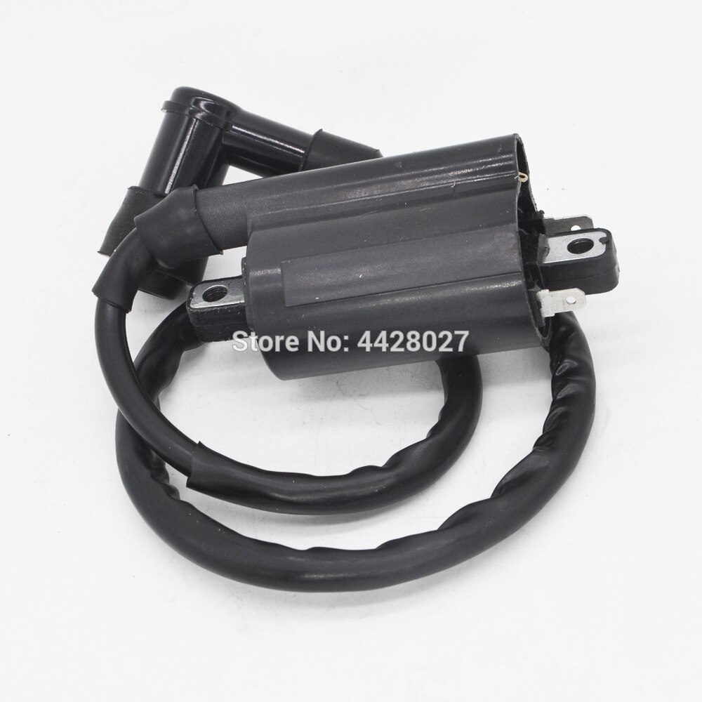 La bobina de encendido se adapta para YAMAHA VIRAGO 250 XV250 1995-2007 LH250 YP250 linhai 260cc 300cc
