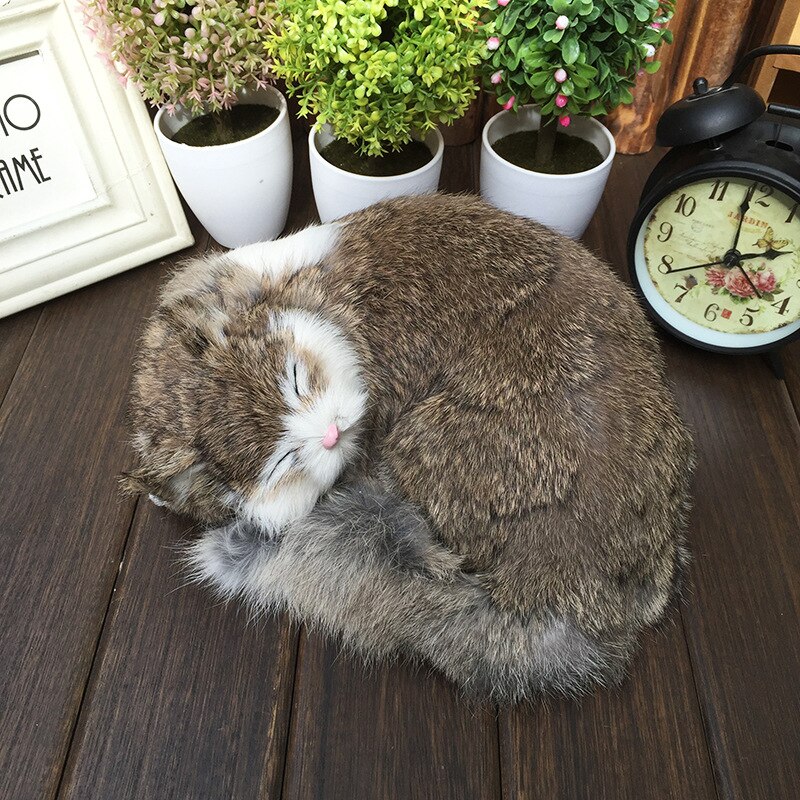 Levensechte Slapen Dieren Kat Pop Kitten Model Pluche Speelgoed Handwerk Decoratie Thuis Decoratie Kids Onderwijs Cognitie: Brown