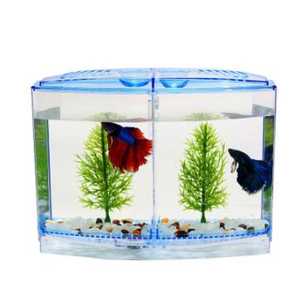 Mini arktisk fiskeavlskasse dobbelt guppy ruge dobbelt klækning akvarium betta gennemsigtig kasse  wf1020