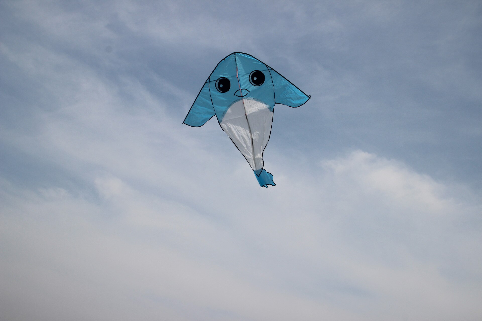 Dolphin Kite - Easy to Fly Outdoor Sport Toy - Fun for Kids & Adults - Durable Polyester