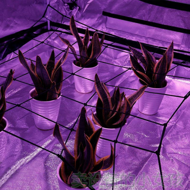 21 net espalier elastisk espalieret med 4 stålkroge til voksetelte have til plantedyrkning i plantetelte