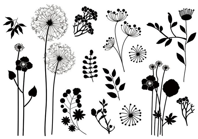 Dandelion 2 Clear Stamp for Scrapbooking Transpare... – Grandado