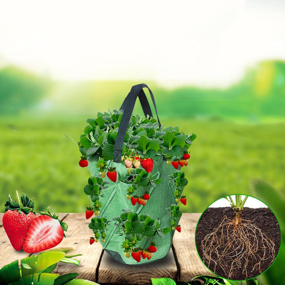 Strawberry plant pot Grow Bag DIY Jardinage potager strawberry seeds Planter PE Fabrics Vegetable Garden Pots for Planting Tool