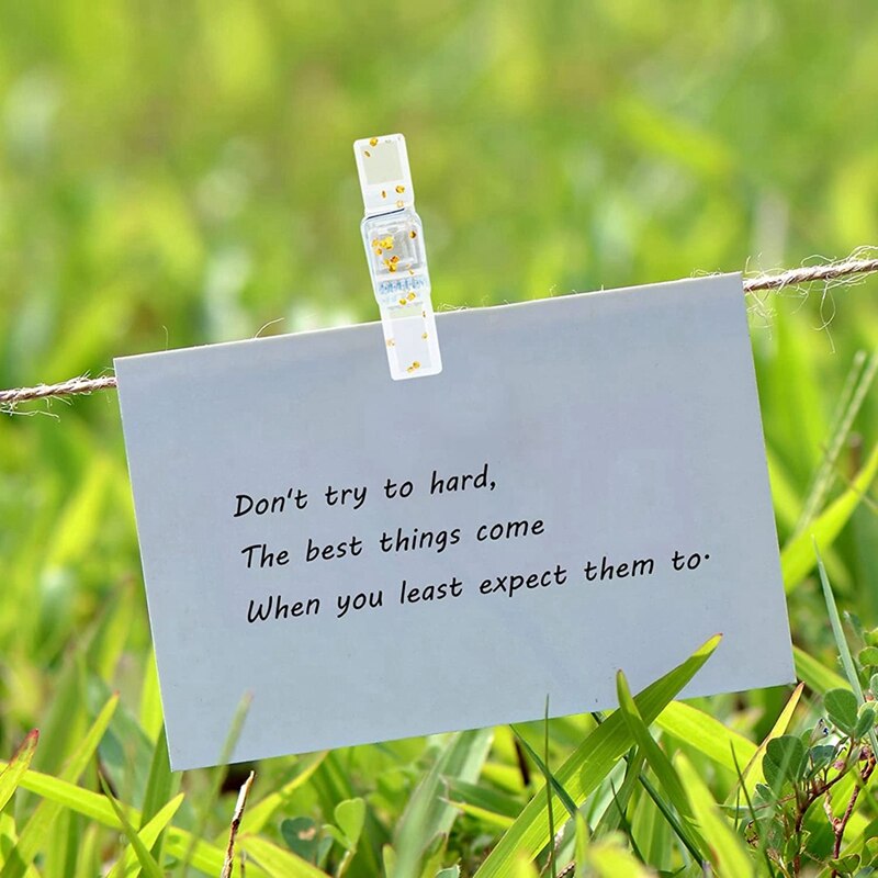 Push Pin Clips,Cork Board Push Pins Tacks,Photo Pushpins Clips Paper Clips with Pins,Pins Thumbtack for Bulletin Board