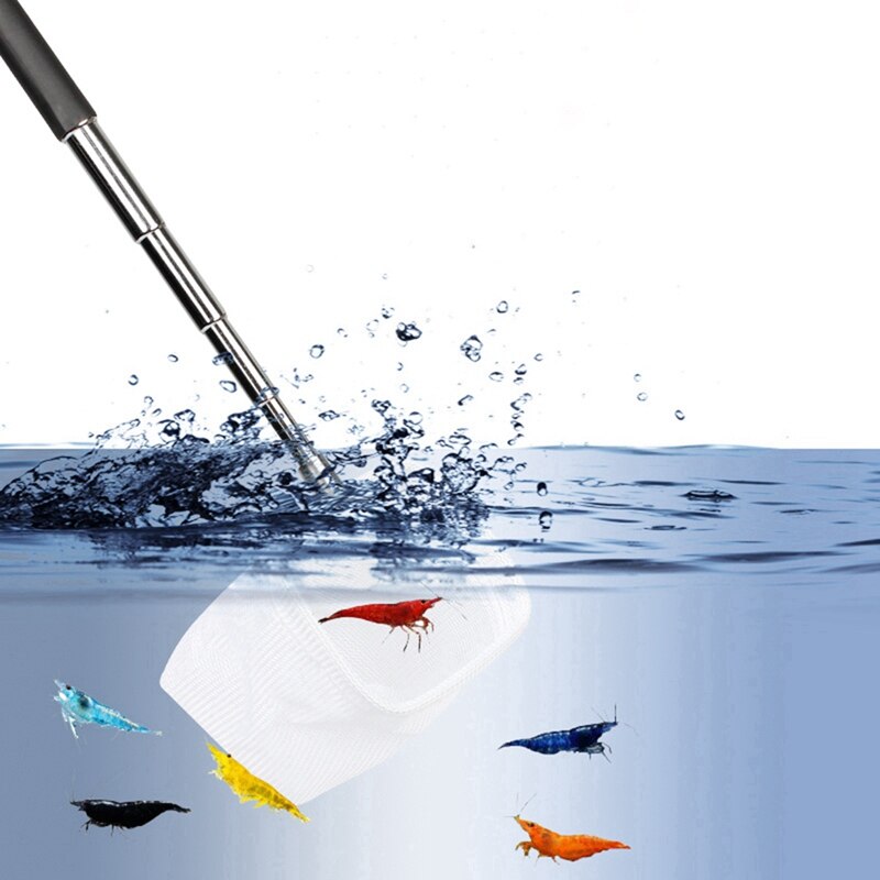 Retractable In Fish Retractable Aquarium Fish Tank Fishing Net,3D Retr... – Grandado