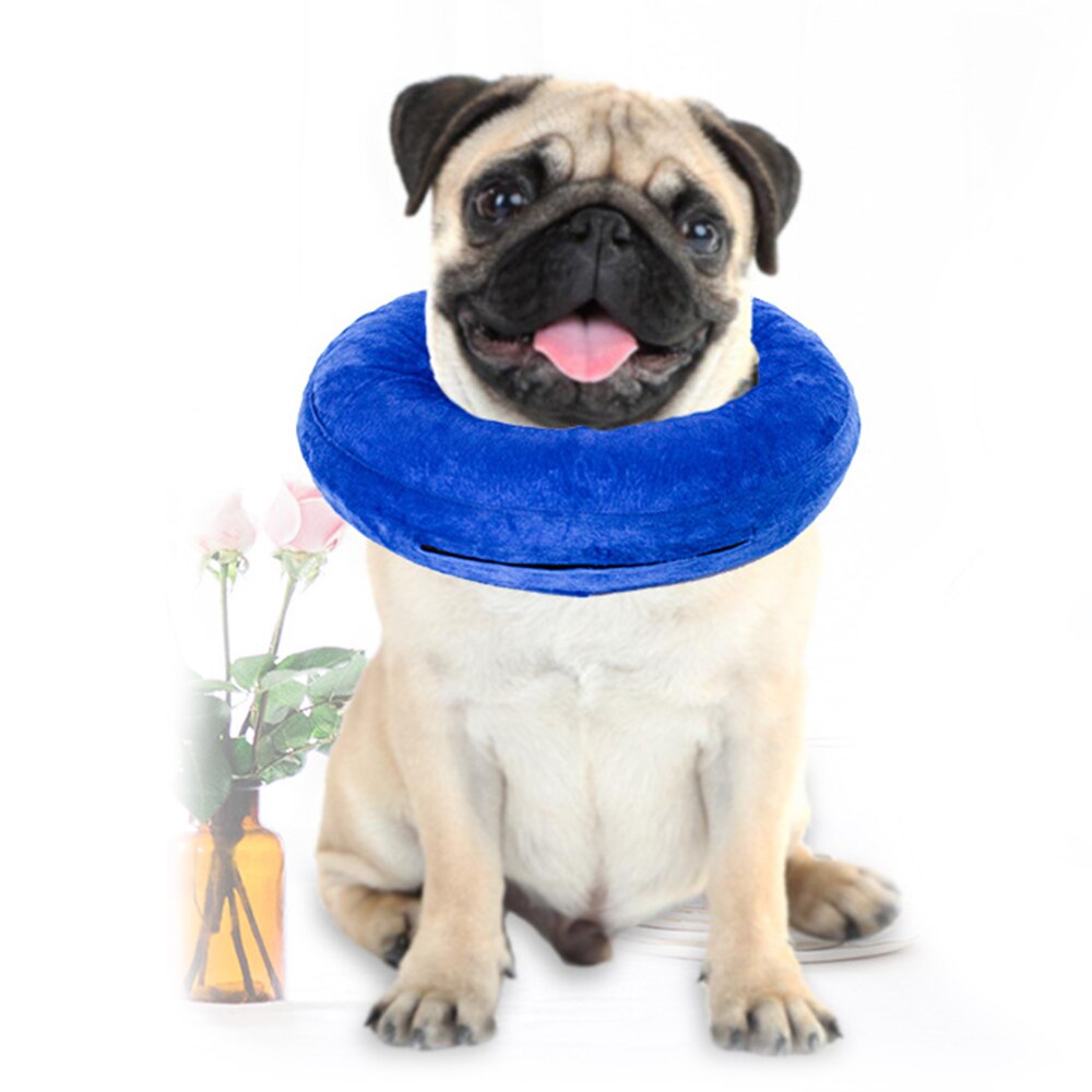 Dog Training Collars