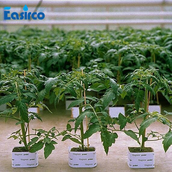 (10pcs/pack)One hole Grodan 4'' rockwool hydroponic grow media for tomato. Propagation Cloning Rockwool Cubes