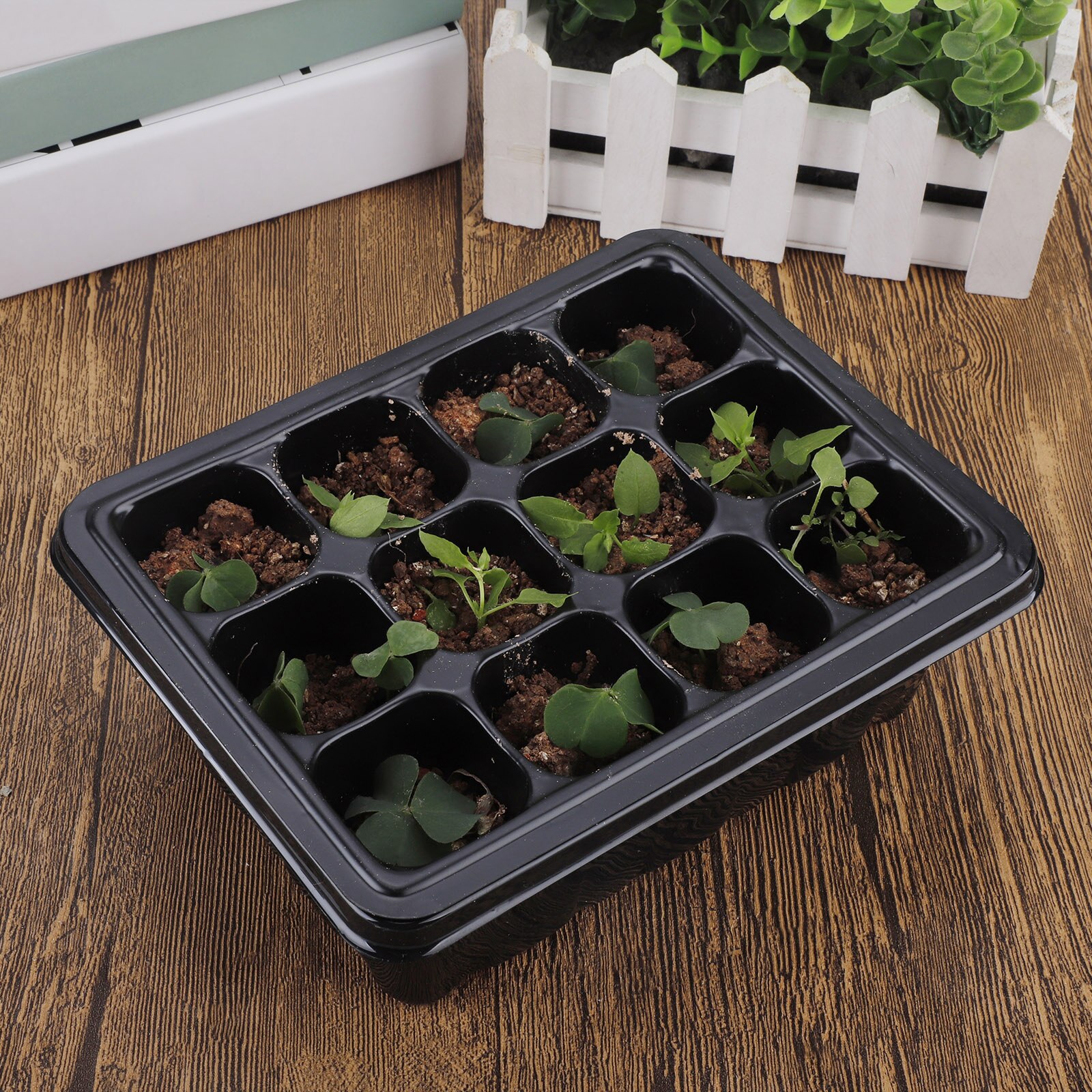 Seedling Box Seedling Propagation Kit Seedling Starter Tray Set Humidity Vented Domes Plant Lables 6 Cells Plant Growth Tray