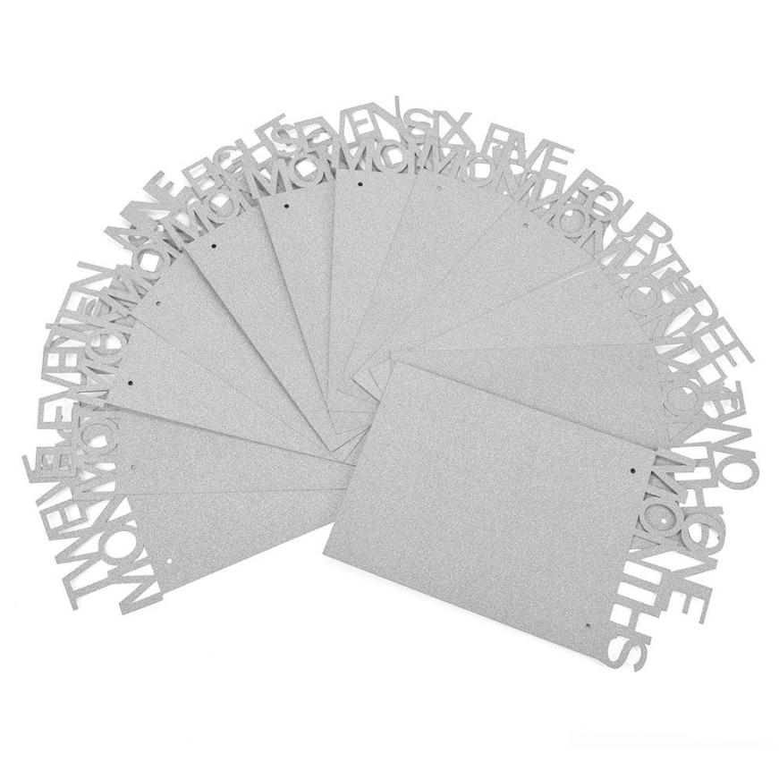 Frame Kids Birthday Decorations 1-12 Month baby Photo holder Photo Banner Monthly Photo Frame Wall baby Photo folder: Sliver 