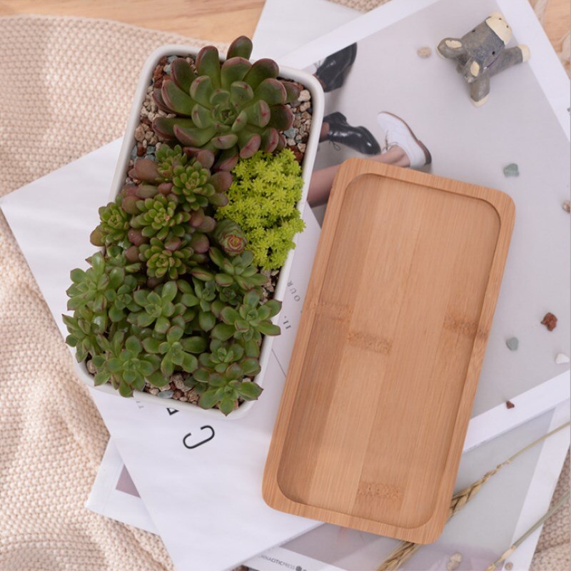 Macetas carnosas de cerámica minimalistas, rectangulares, blancas, para plantas suculentas, de porcelana, para escritorio, decoración del hogar Zakka