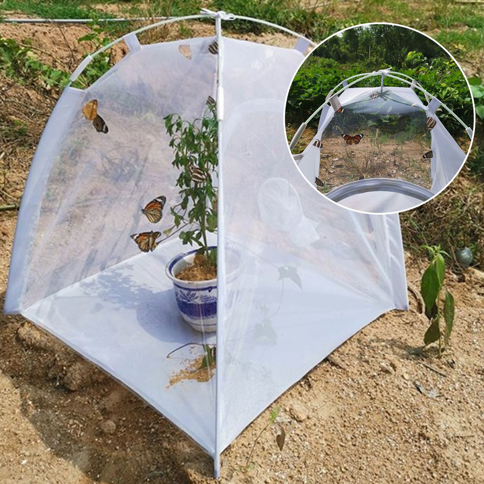 Mini serre multifonctionnel plante isolation hangar insecte-preuve tente insecte Cage intérieur et extérieur # W0