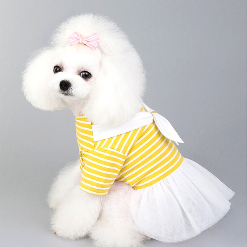 Lente En Zomer Dunne Pet Dog Kleding Wit Boog Gestreepte Hond Rok Gaas Rok Bichon Teddy Kleren Huisdier Kleding Voor honden