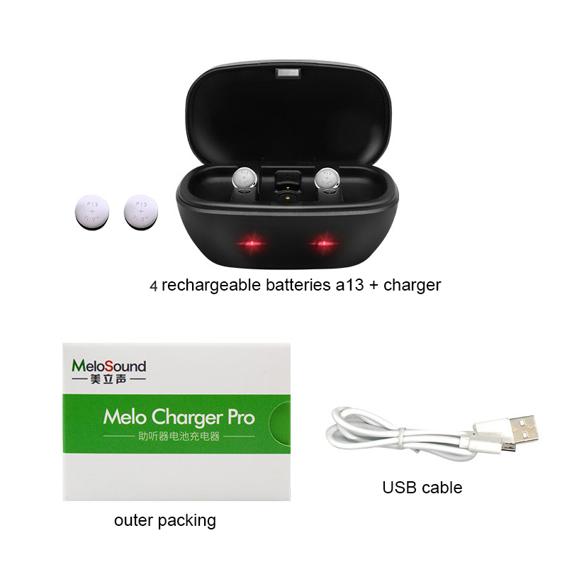 Hearing Aid Batteries 13 A13 13A P13 PR48 with Charging Case Rechargeable Cell Button Battery for BTE Hearing Aids Amplifiers: black