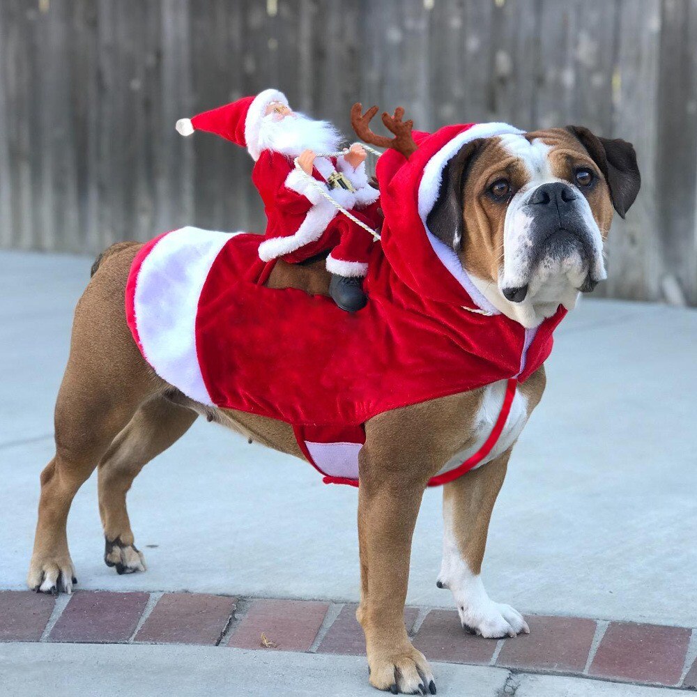 Kæledyrstøj hund juletøj påklædt julemanden ridende hjorte og hund påklædt til jul