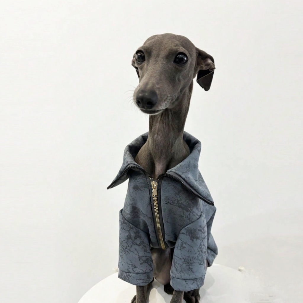 Italian Greyhound and Whippet clothing deep blue print zipper jacket outerwear windproof and warm stylish clothes