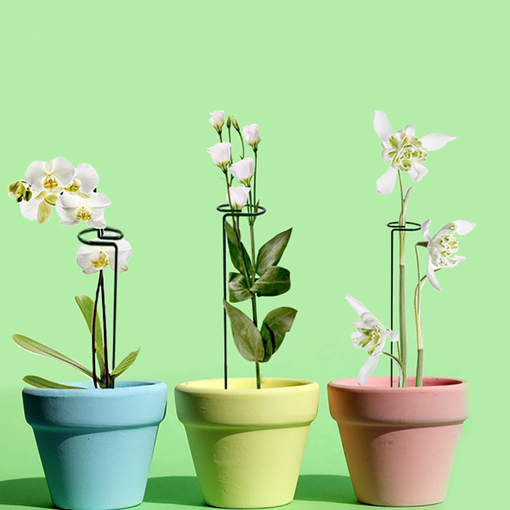 Plantestøttepinde, have enkeltstamme støttepæl planteburstøtteringe til amaryllis tomater orkidé lilje pæon
