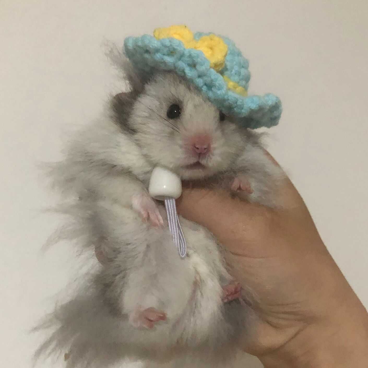 Hand Crocheted Hamster Hat Hamster Accessories Chipmunk Dwarf Rat Small Animal Hat Cute Hamster Clothes Hamster Supplies: 003