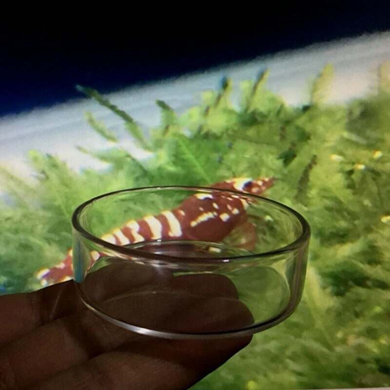 Aquarium Glas Feeder Transparante Buis Kom Garnalen Feeding Met 6 Cm Ronde Schotel Veilig 6 Size