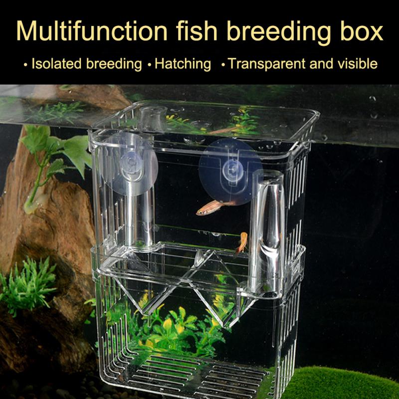Fish Breeding Box With Suction Cups Transparent Hatchery Aquarium Tank Isolation ABS Material Self-floating Desi Safe And Secure