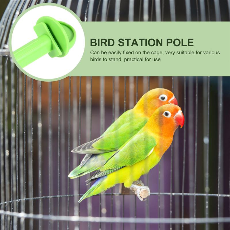 Soportes para loros de pie de aves, accesorios para jaulas de pájaros, 10 Uds.