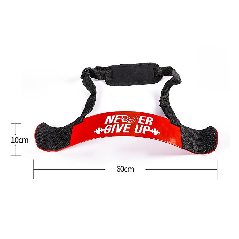 Adjustable Bodybuilding Biceps training board dumbbell barbell gym equipment Bomber Curl Support Straps Training Accessory