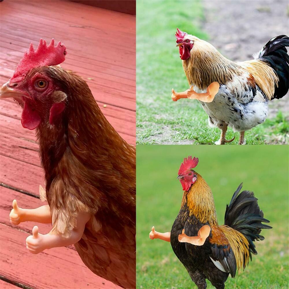 Bras de poulet musclé, Gag, bras de poulet à porter,: Flesh Like