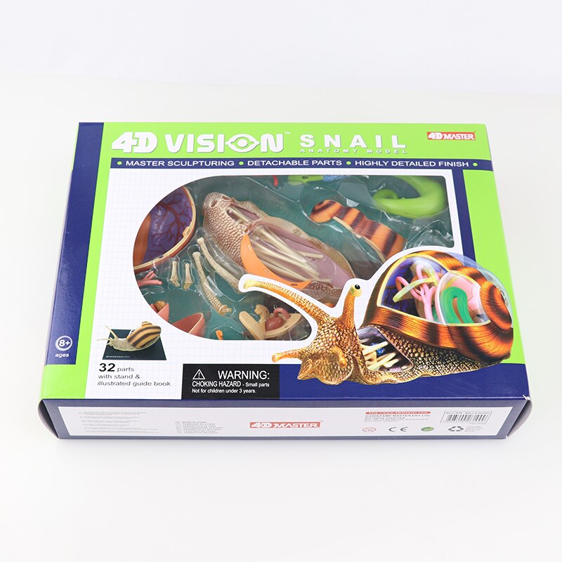 Simulatie dier pop 4d meester puzzel assemblage speelgoed wezen gevogelte kat hond paard varken haai walvis orgaan anatomie