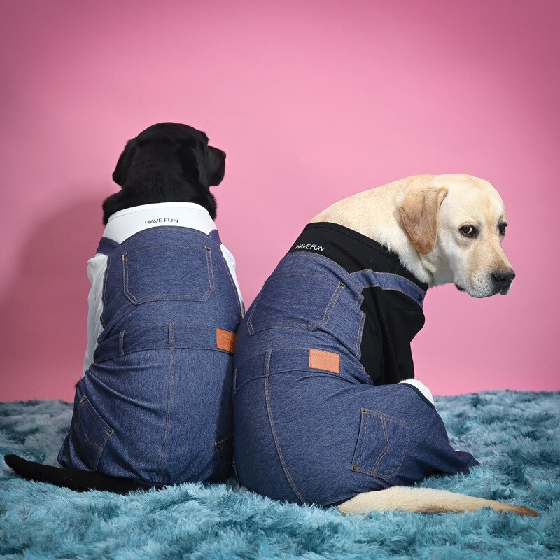 Pyjama en denim pour grand chien, vêtement en denim, une pièce, belle et cool, manteau à quatre pattes, pour jouer, automne/hiver