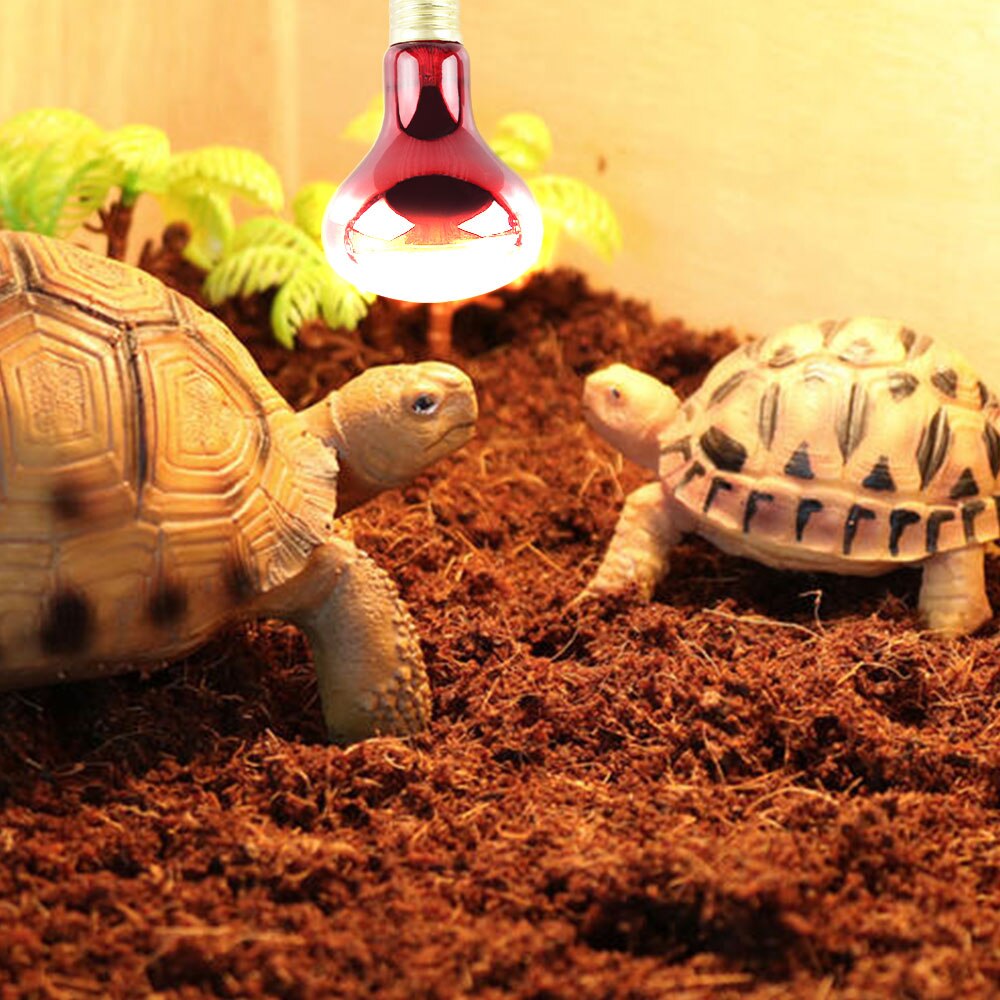 100w Led Infrared Basking Spot Heat Lamp Bulb Red Light Heat Bulbs For Pet Lizards Snakes Reptiles