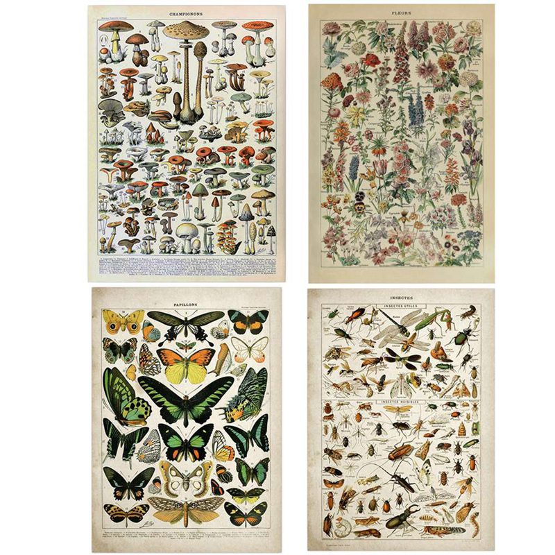 Vintage adolphe millot uppslagsverk affischer fjäril svamp örter blommor insekt klassiska väggdekor vintage affisch