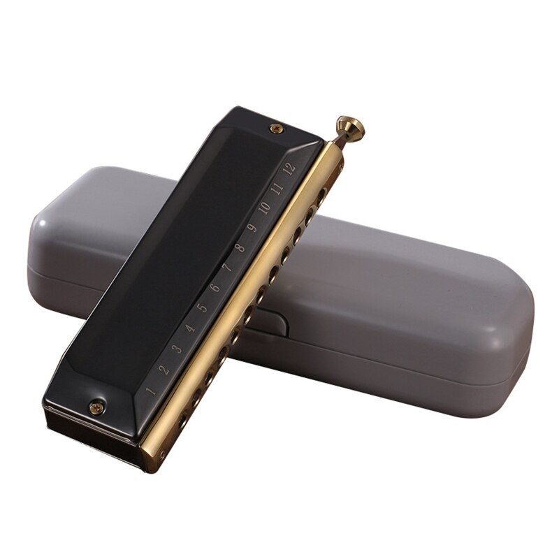 Blues Harmonica in C 12 Holes Blues Harp Diatonic Harmonica 48 Tones Mouth Organ: Black