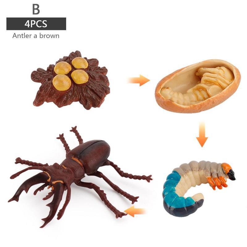 Simulatie Insect Bee Groei Cyclus Model Beeldjes Kikkers Zee Groei Mier Set Mosquito Model Cyclus Cijfers Kip Speelgoed T G5N