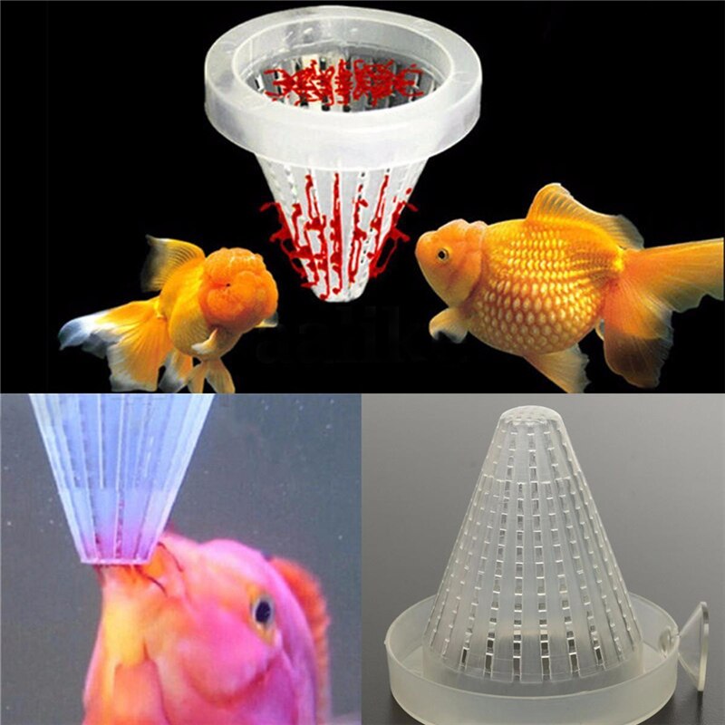 Alimentador de gusanos rojos para acuario, cono de alimentación para pecera, pez ángel, disco, 4 Uds.