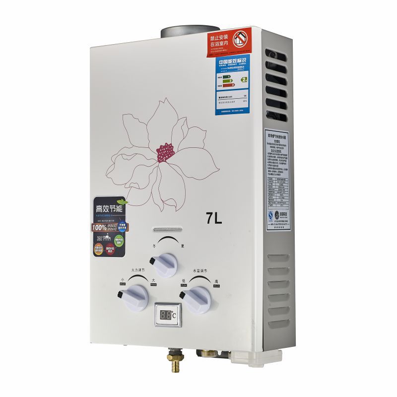Gas Water Heater Stove-Piped Water Heater Liquefied Petroleum Gas (LPG) and Natural Gas Water Dispenser Household