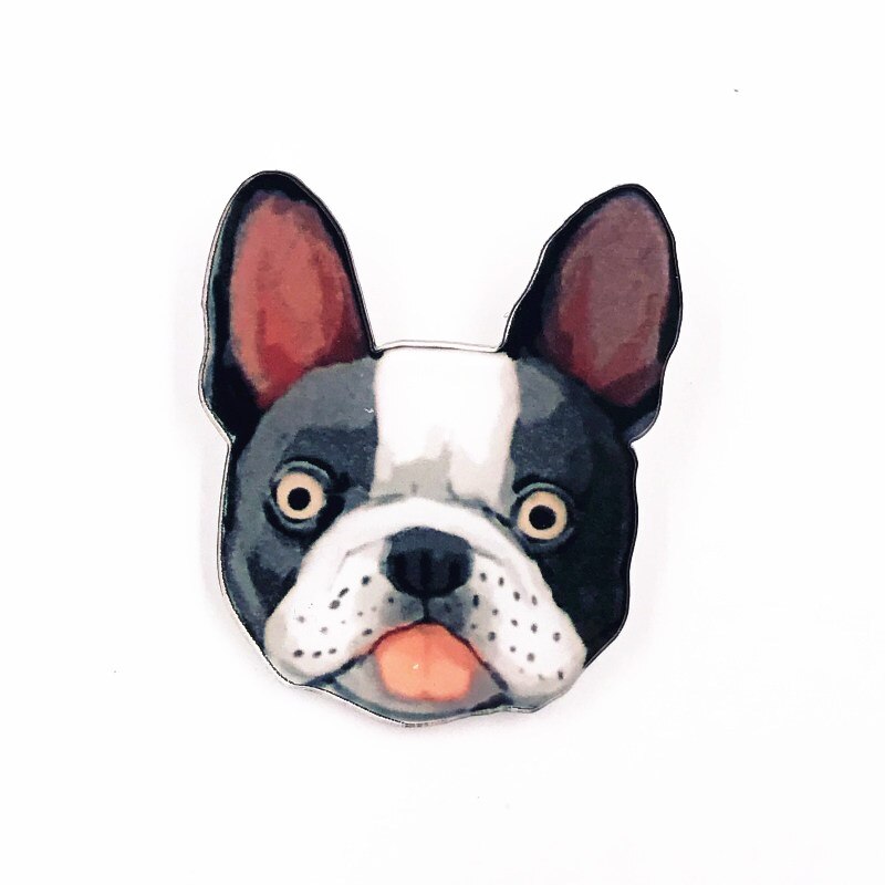 1Pcs Olieverf Creatieve Icoon Broche Leuke Dier Pin Acryl Panda Varken Hond Badge Voor Kids Beloningen Zak Hoed sjaal Decoratie: Laser Bright