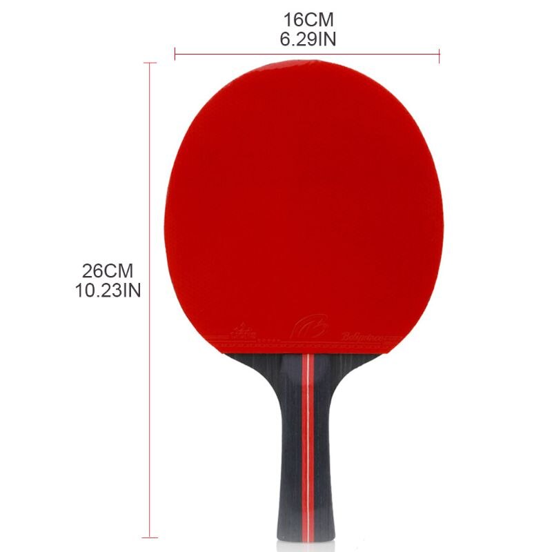 Sports and Entertainment Table Tennis Paddles Ping Pong Racket 2 Paddles 3 Balls