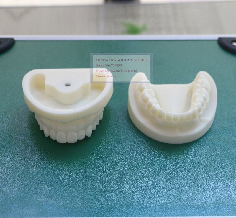 Wit korund tand model, Tand systeem voor praktijk model, Tand model, Dental model